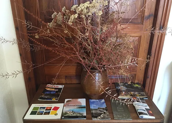 酒店 Aiglon 奥尔梅托